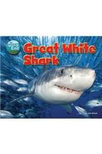 Great White Shark