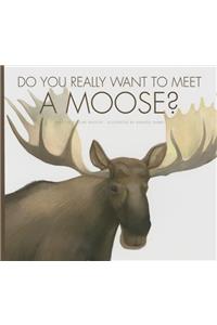 Do You Really Want to Meet a Moose?