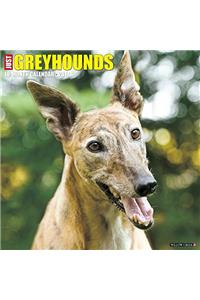 Just Greyhounds 2017 Wall Calendar