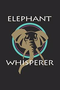 Elephant whisperer