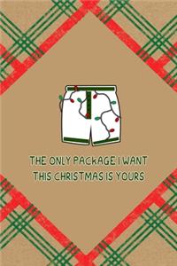 The Only Package I Want This Christmas Is Yours