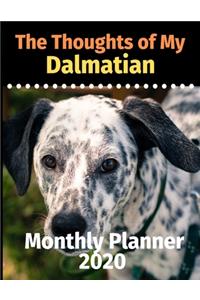 The Thoughts of My Dalmatian