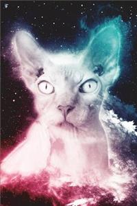 Hairless Cat Notebook (Vol 2)