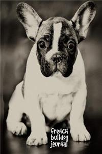 French Bulldog Journal