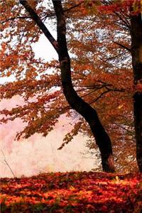Autumn is Here Journal