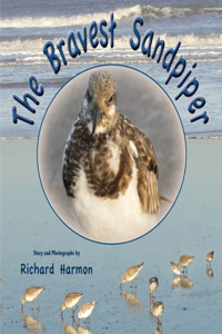 The Bravest Sandpiper