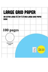 Large Grid Paper (one inch grids)