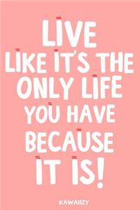 Live Like It's the Only Life You Have Because It Is!