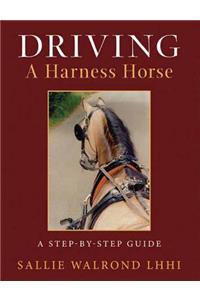 Driving a Harness Horse