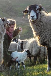 Yorkshire Shepherdess Notebook