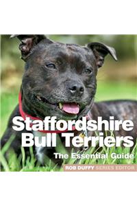 Staffordshire Bull Terriers