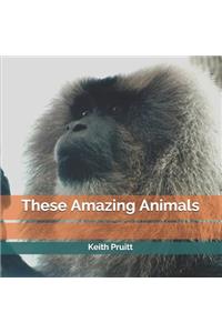 These Amazing Animals