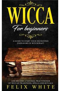 Wicca for Beginners