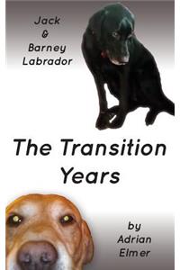 Transition Years