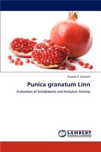 Punica Granatum Linn