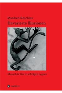Havarierte Illusionen