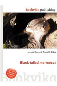 Black-Tailed Marmoset