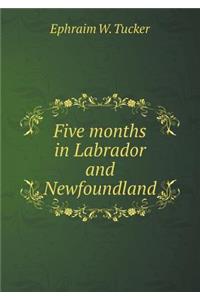 Five months in Labrador and Newfoundland