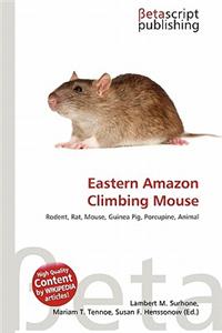 Eastern Amazon Climbing Mouse