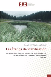 Les Étangs de Stabilisation