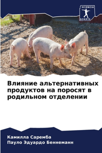Влияние альтернативных продуктов на поро