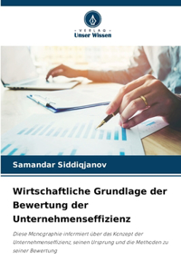 Wirtschaftliche Grundlage der Bewertung der Unternehmenseffizienz