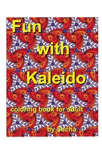 Fun with kaleido