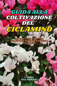 Guida alla Coltivazione del Ciclamino