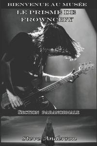 Le prisme de Frowncity