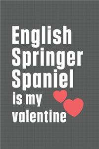 English Springer Spaniel is my valentine