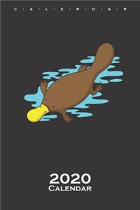 Platypus in water Calendar 2020