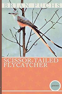 Scissor-tailed Flycatcher