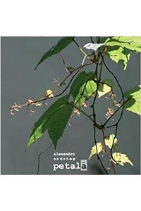 The Weight Loss Bible