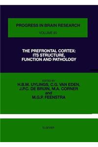 The Prefrontal Cortex