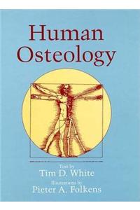 Human Osteology