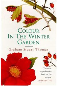 Colour In The Winter Garden
