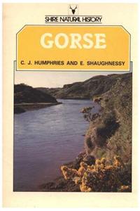 Gorse