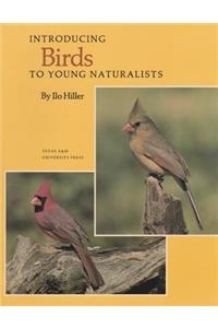 Introducing Birds
