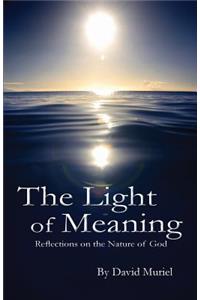 Light of Meaning