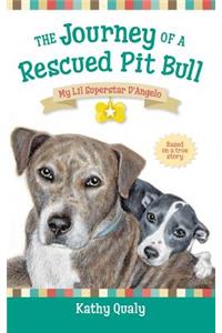 Journey of a Rescued Pit Bull: My Lil Superstar D'Angelo