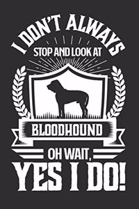 I Don't Always Stop and Look At Bloodhound OH Wait, Yes I Do!