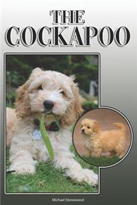 Cockapoo