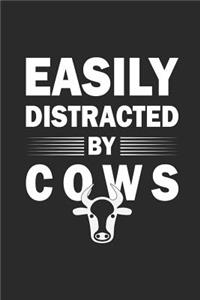Easily Distracted By Cows