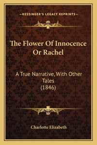 Flower Of Innocence Or Rachel