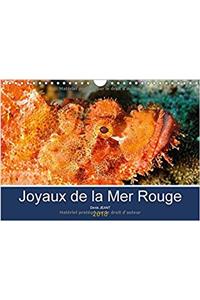 Joyaux De La Mer Rouge 2018