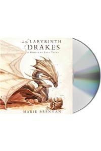 In the Labyrinth of Drakes