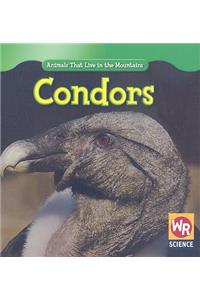 Condors