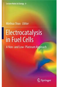 Electrocatalysis in Fuel Cells