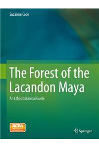 Forest of the Lacandon Maya