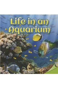 Life in an Aquarium